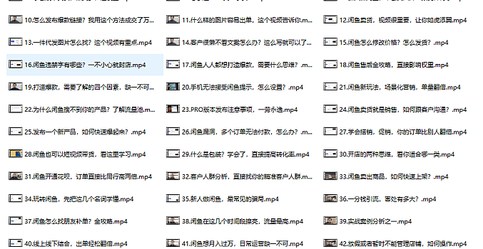 闲鱼副业月入过万进阶课程,掌握闲鱼电商所需的各项技能