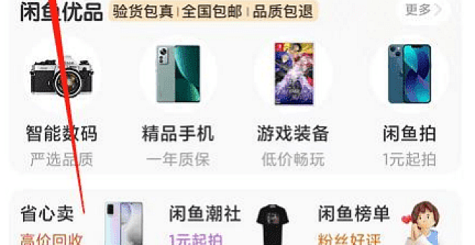 分享闲鱼虚拟单品蓝海项目玩法,单天 300 纯利润很容易