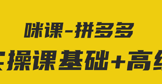 拼多多拼多多实操运营 系列课程 基础+高级