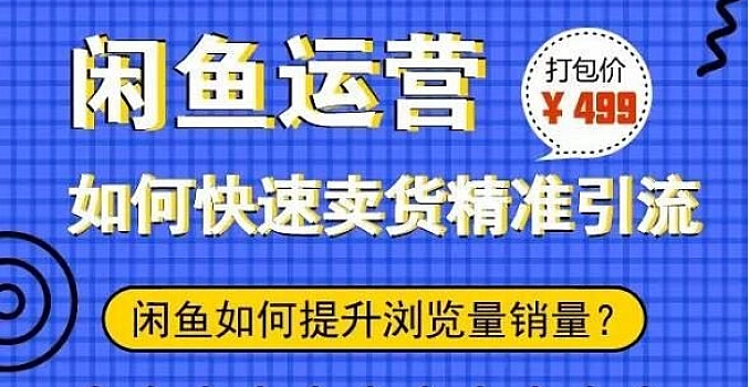 胜子闲鱼精准引流课程