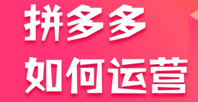 惊鸿侃电商 拼多多+直播线下课