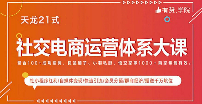社交电商运营视频教程实体新零售拉新留存转化即学即用