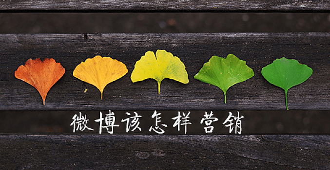 微博精准流量课