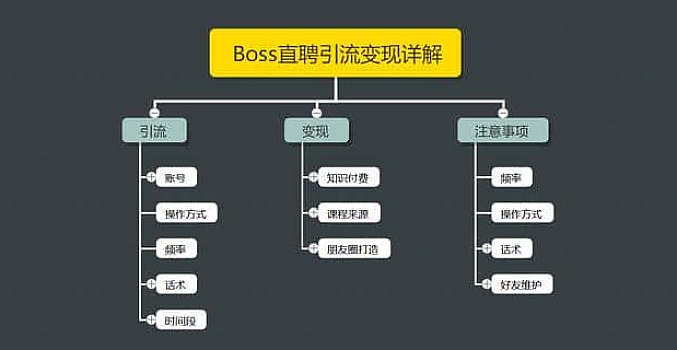 王半圈:Boss直聘引流变现详解,让网络赚钱更简单!【视频课程】