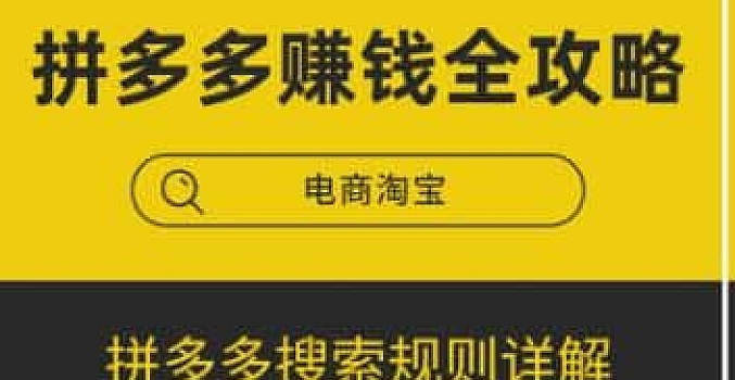 言诺非 拼多多赚钱全攻略(完结)