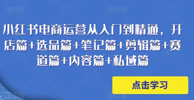 小红书电商·入门到精通 开店篇+选品篇+笔记篇+剪辑篇+赛道篇+内容篇+私域篇