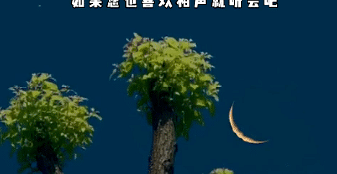 德云社相声无人直播,夜入800+,详细操作教程