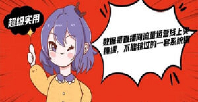 数据哥直播间流量运营线上实操课