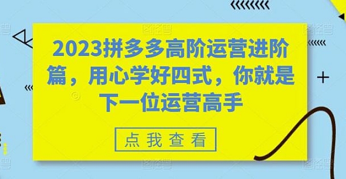 2023拼多多高阶运营进阶篇,用心学好四式,你就是下一位运营高手