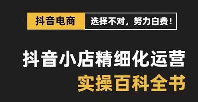抖音小店精细化运营百科全书,保姆级运营实战讲解(28节课)
