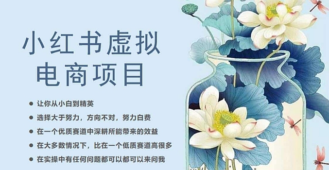 小红书虚拟电商入门到精通