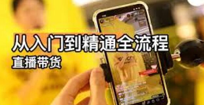 秋叶直播带货从入门到精通全流程(视频课)