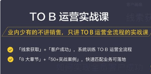To B运营实战课（完结）