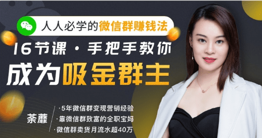 人人必学的微信群赚钱法，16节课手把手教你