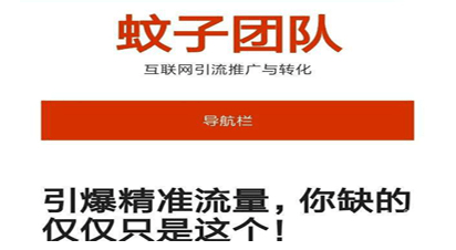 蚊子团队流量王代表作：《这就是我的流量思维》