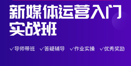 微客自媒体实战教程：做自媒体从小白到大神月入10W
