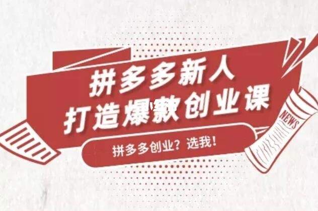 搜外网·拼多多新人打造爆款创业课（完结）