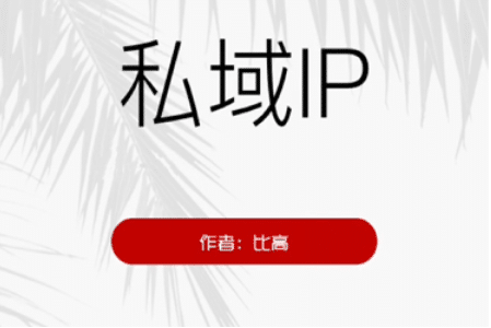 比高私域IP引流变现边学边实践